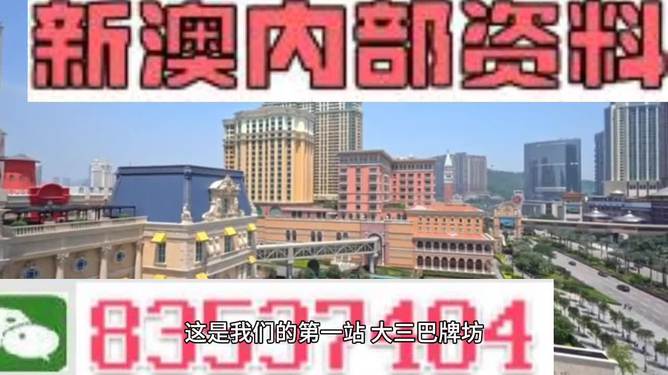 2024新澳正版免费资料|精选资料解析落实