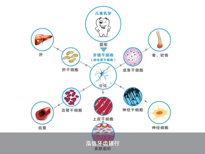 新闻头条 第300页