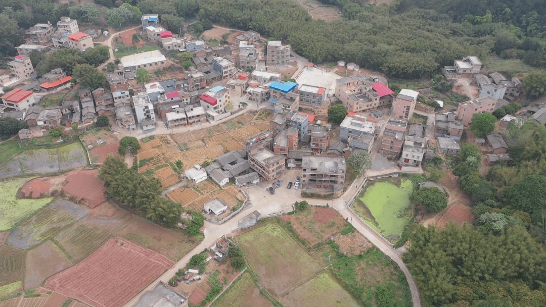 中原区冯湾村最新消息