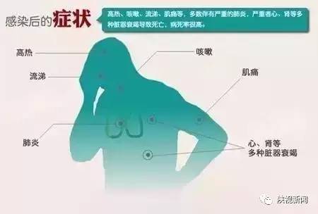 陕西省h7n9最新情况