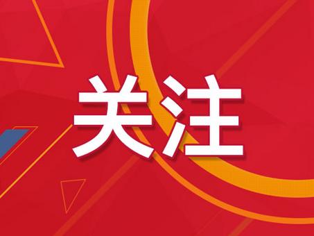 新澳门精准四肖期期准|精选资料解析大全