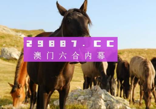 澳门管家婆一肖一码100精谁|精选资料解析大全