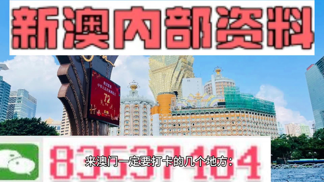 新2024澳门兔费资料|精选资料解析大全