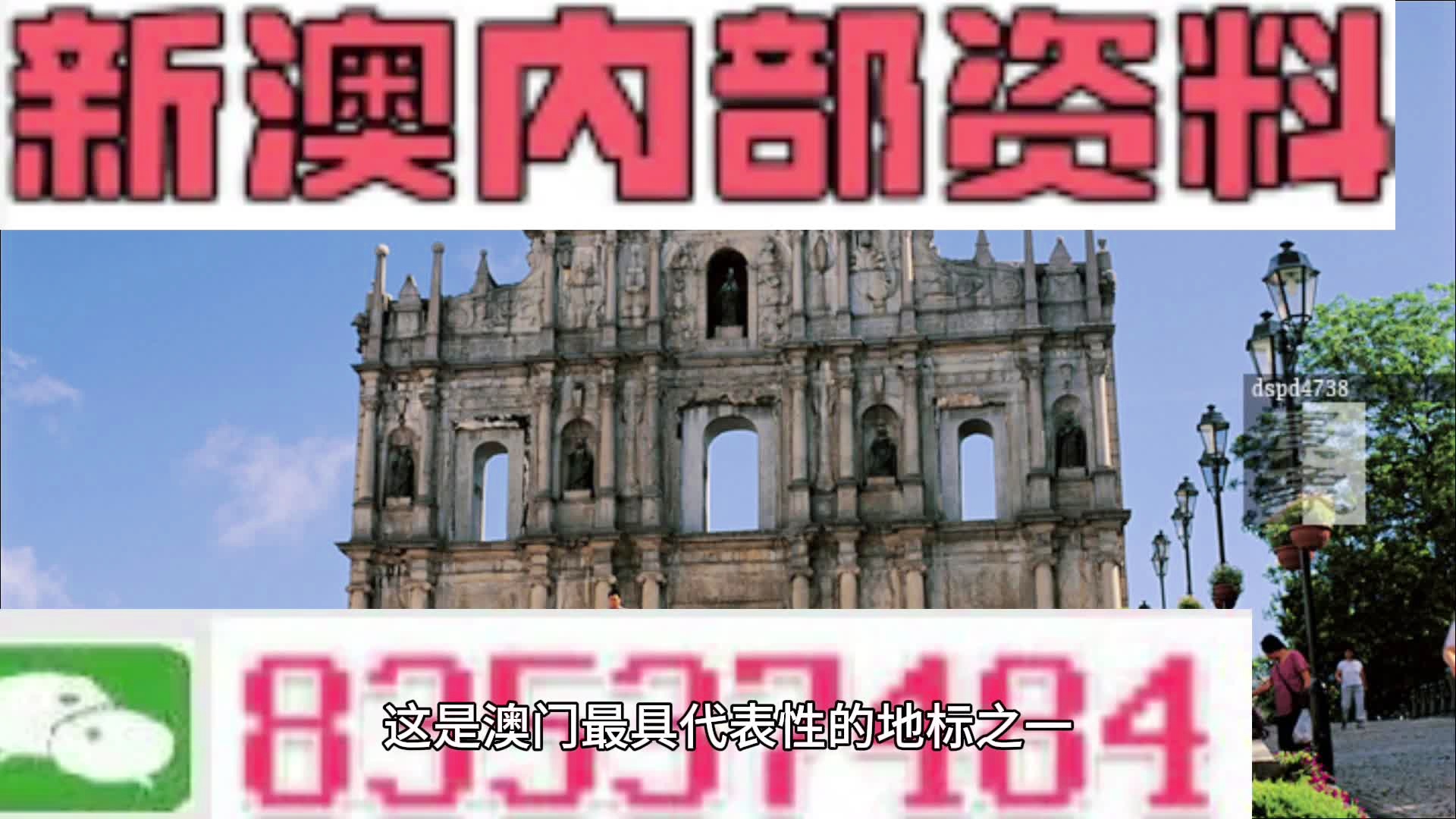 新澳精准资料|精选资料解析大全