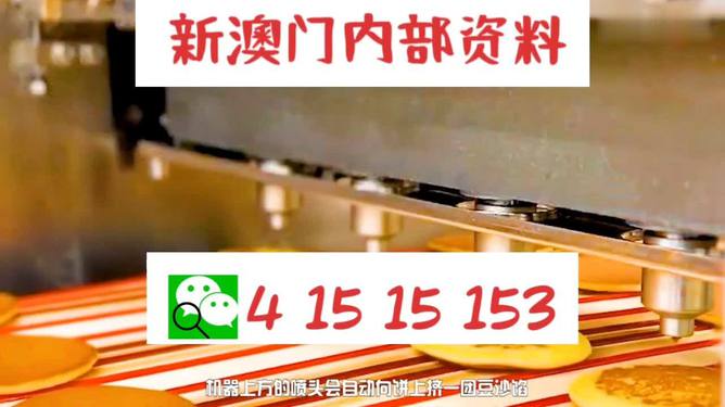 澳门管家婆r肖,澳门管家婆与神秘的肖氏传奇