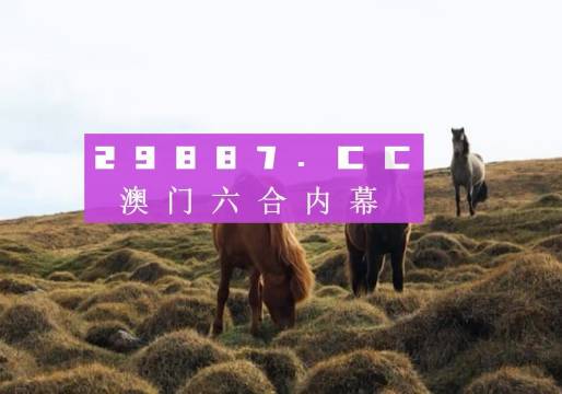 澳门一肖一码准选一码2023年,澳门一肖一码准选一码，探索与预测2023年的奥秘